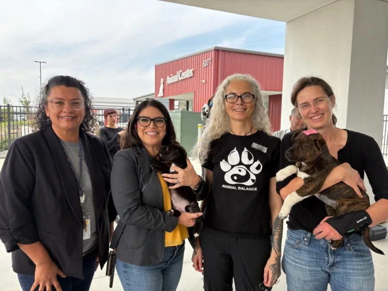 AB2010: The approval of a bill that will allow the expansion of spay/neuter access in California